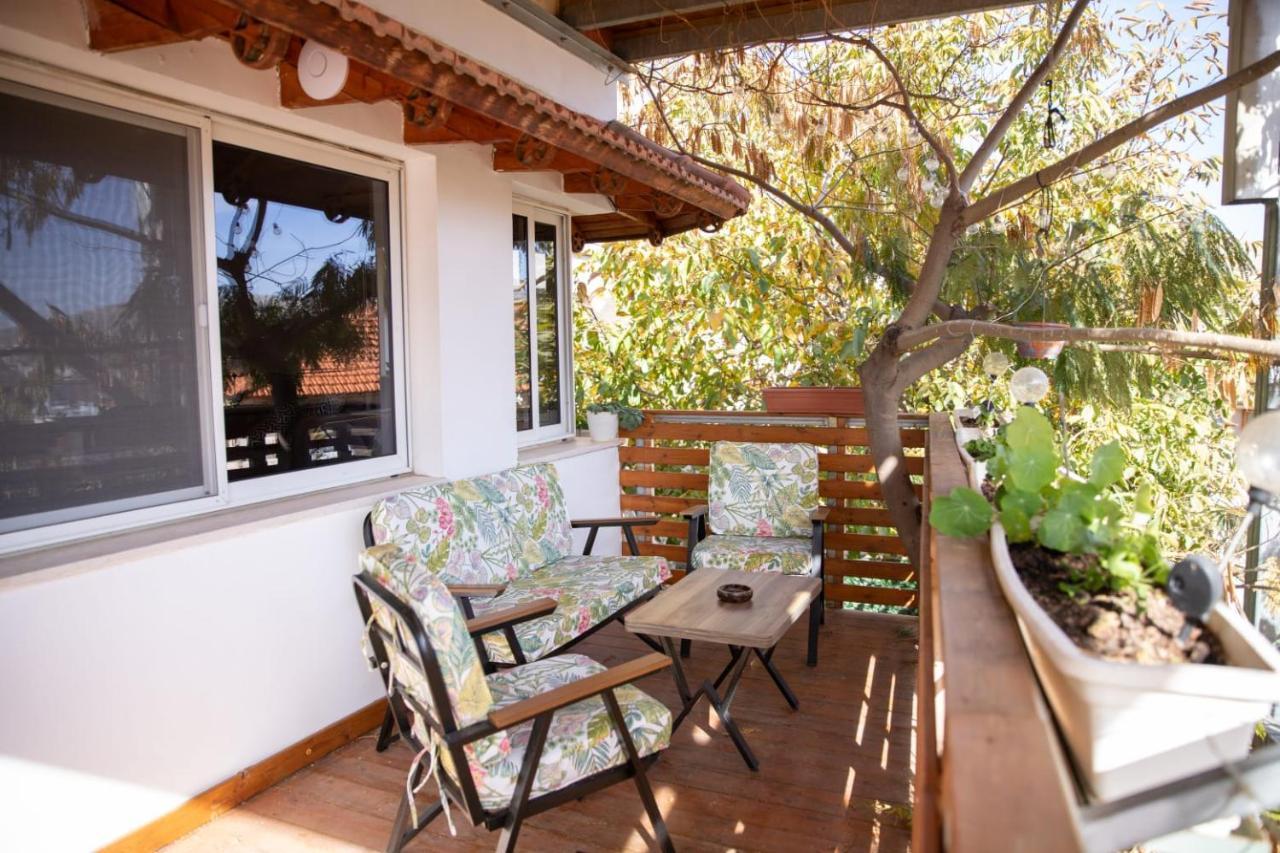 Star - Rural Experience - Northeast Point Majdal Shams